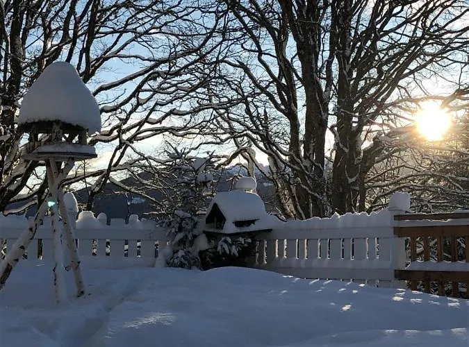 ホテル Luehrmann 3*